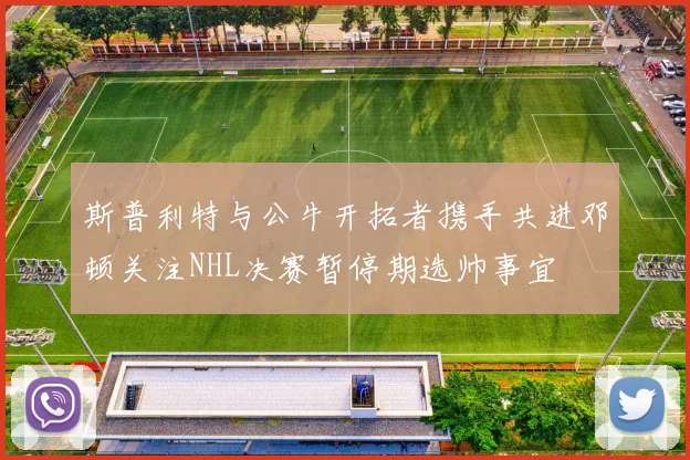 斯普利特与公牛开拓者携手共进邓顿关注NHL决赛暂停期选帅事宜