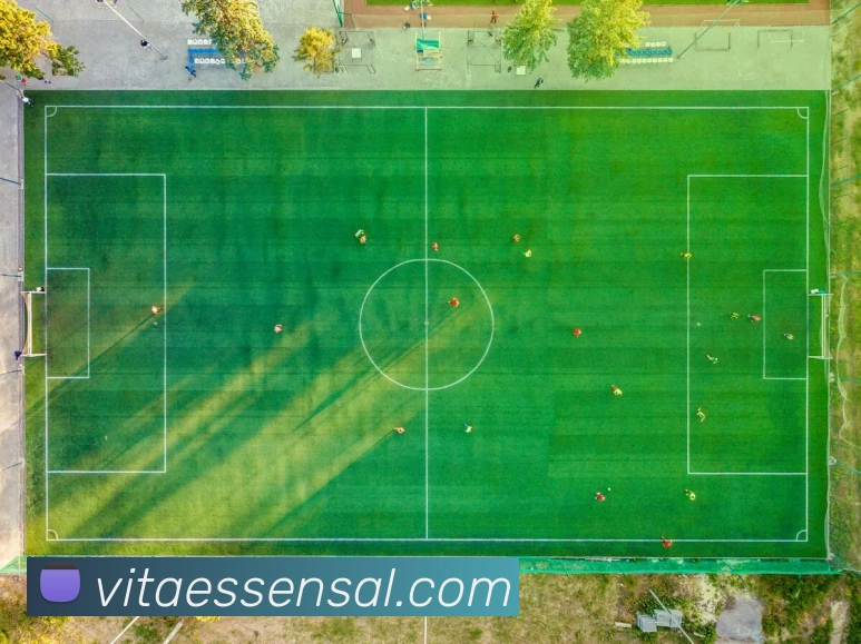 奖项图1
