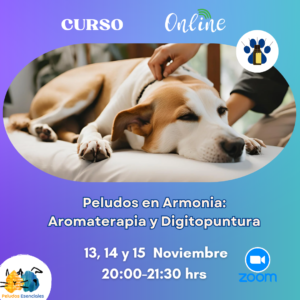 Curso Peludos en Armonía